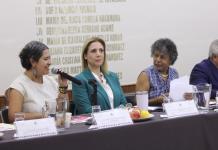 Piden que se abra Defensoría Pública para las mujeres que denuncian violencia política