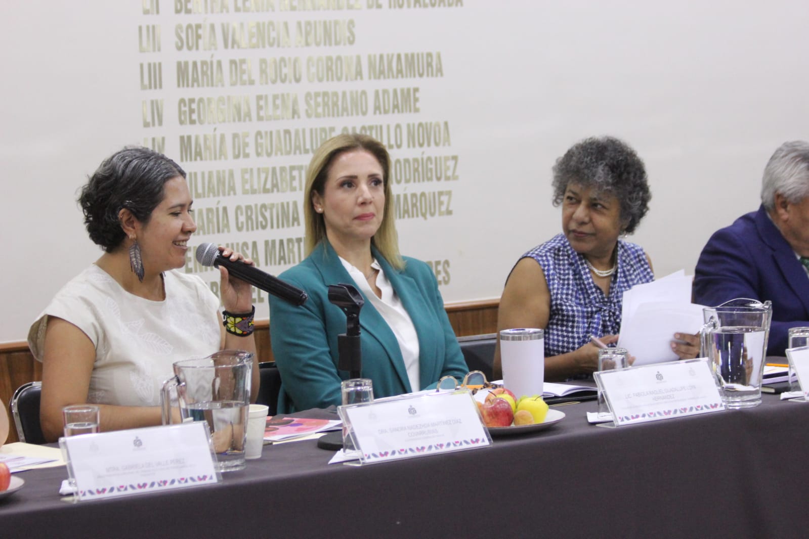 Piden que se abra Defensoría Pública para las mujeres que denuncian violencia política