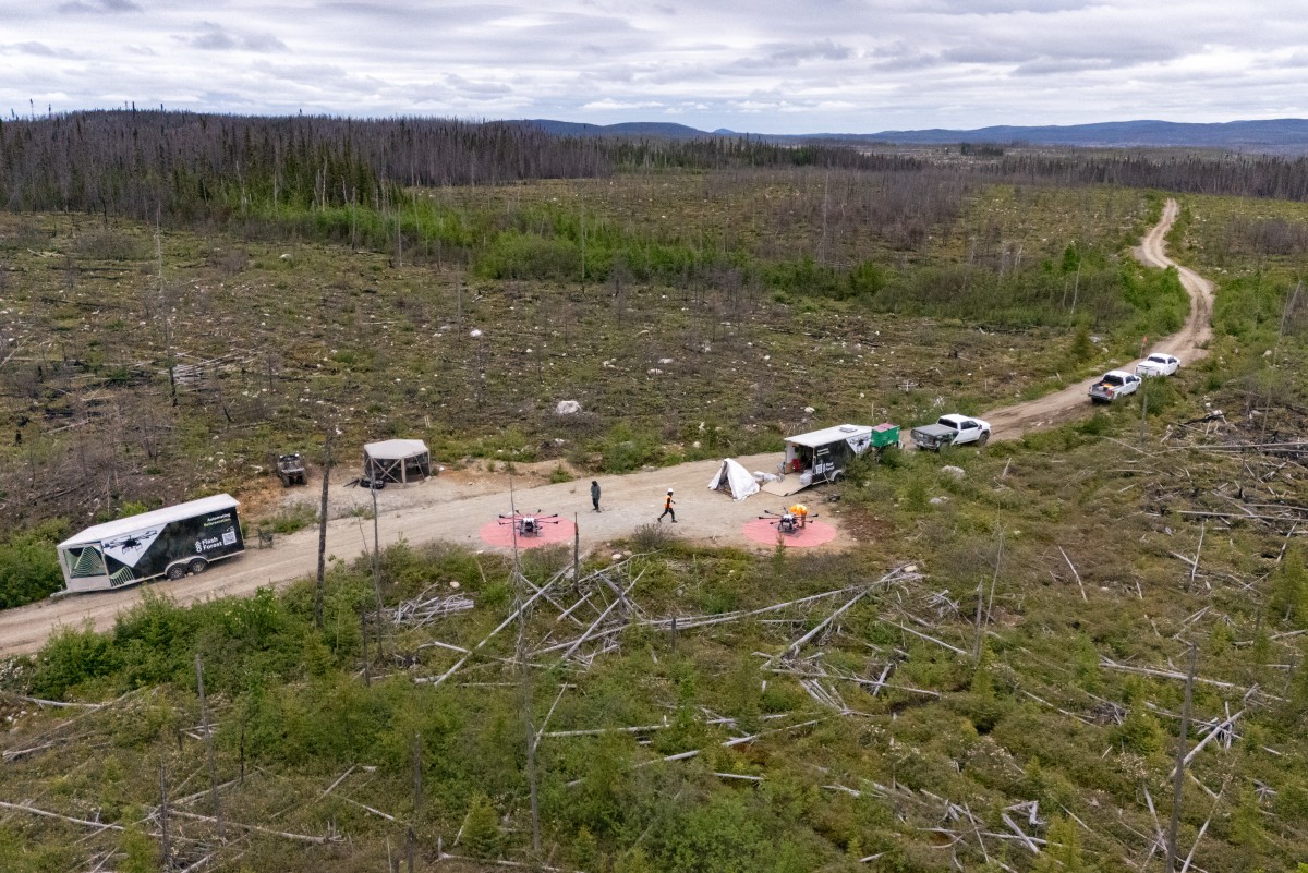 Canadá recurre a los drones para reforestar bosques arrasados por incendios