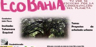 Ecobahía - 02 de Julio del 2025
