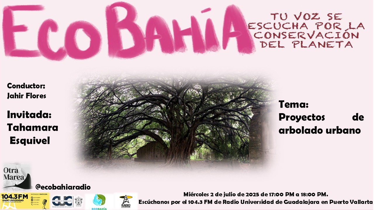 Ecobahía - 02 de Julio del 2025
