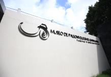 Hormigas, “superorganismos entre nosotros en el Museo de Paleontología de Guadalajara