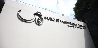 Hormigas, "superorganismos entre nosotros en el Museo de Paleontología de Guadalajara