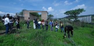 Especialistas en México afinan método para localizar fosas mediante flores y animales