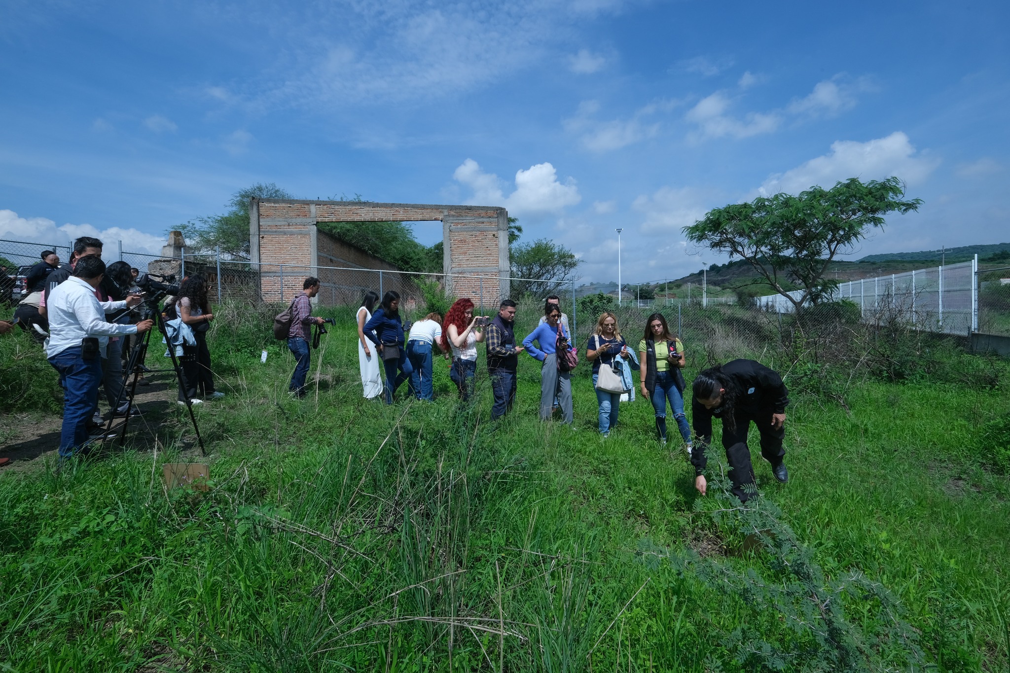 Especialistas en México afinan método para localizar fosas mediante flores y animales