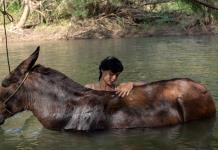 Cine al estilo Jalisco: Proyectan la película “La Arriera” en municipios