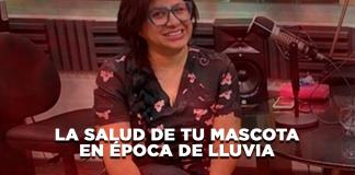 La salud de tu mascota en época de lluvia - El Expresso de las 10 - Ma. 08 Julio 2025