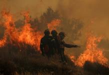 Científicos de EEUU emplean datos satelitales para evaluar recuperación de bosques tras incendios forestales