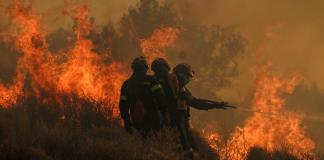 Científicos de EEUU emplean datos satelitales para evaluar recuperación de bosques tras incendios forestales