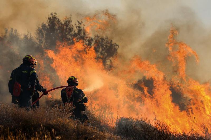 Científicos de EEUU emplean datos satelitales para evaluar recuperación de bosques tras incendios forestales