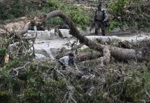 Buscando a Joyce: Al rescate de una hija tras inundaciones en Texas
