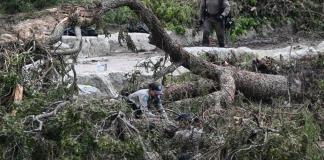 Buscando a Joyce: Al rescate de una hija tras inundaciones en Texas