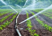 Solo una quinta parte del campo en Jalisco cuenta con sistemas de riego