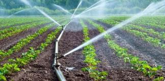 Solo una quinta parte del campo en Jalisco cuenta con sistemas de riego