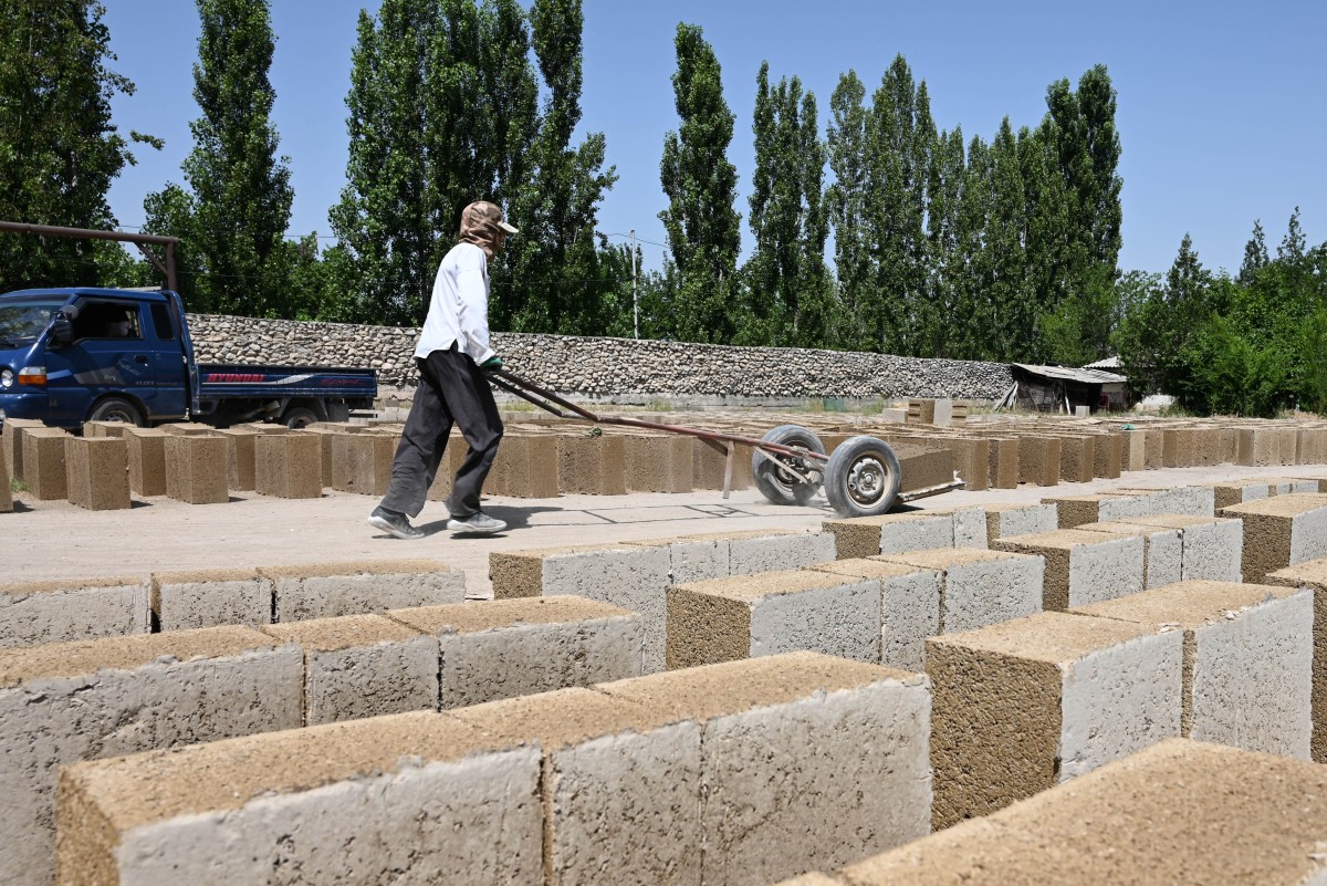 Kirguistán impulsa la construcción de casas de arroz, una alternativa ecológica al hormigón Kirguistán impulsa la construcción de casas de arroz, una alternativa ecológica al hormigón