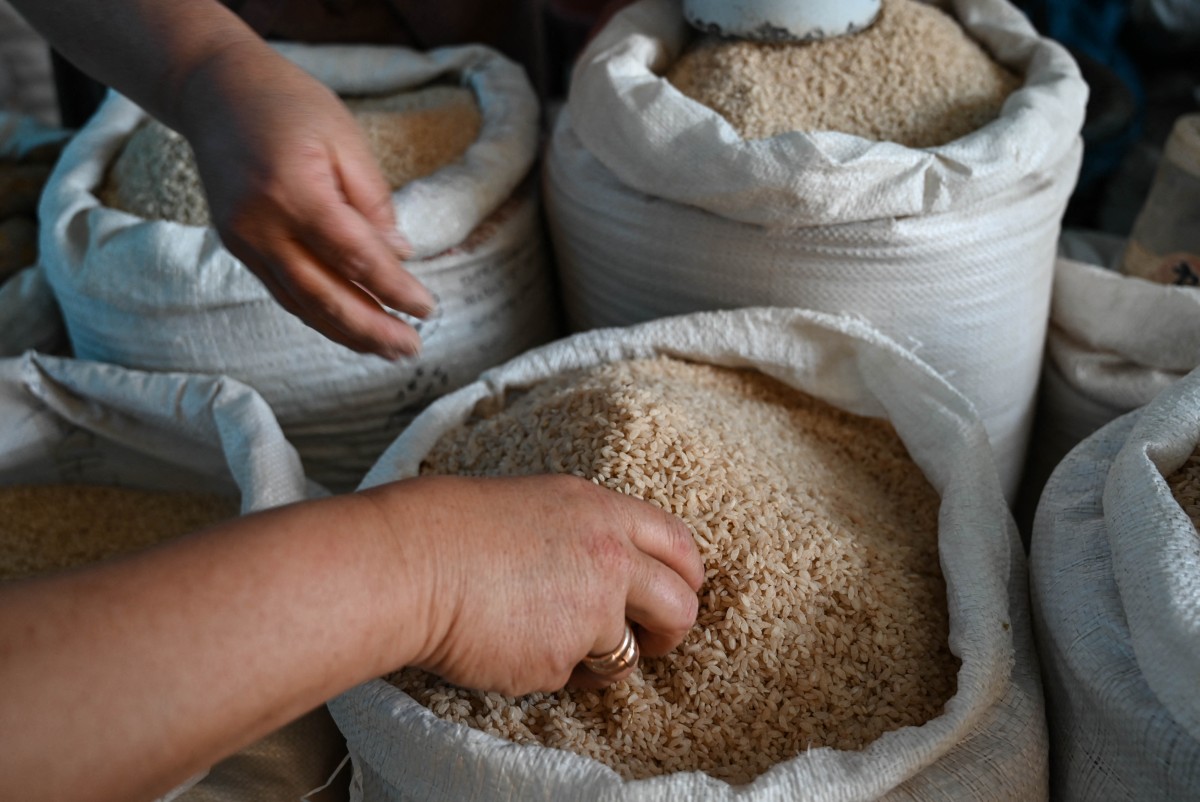 Kirguistán impulsa la construcción de casas de arroz, una alternativa ecológica al hormigón Kirguistán impulsa la construcción de casas de arroz, una alternativa ecológica al hormigón