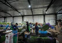 EE.UU. corta el acceso a programas de desarrollo laboral a inmigrantes indocumentados
