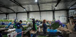 EE.UU. corta el acceso a programas de desarrollo laboral a inmigrantes indocumentados