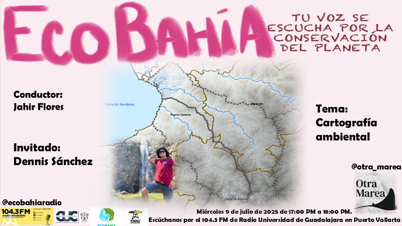 Ecobahía - 09 de Julio del 2025 Ecobahía - 09 de Julio del 2025