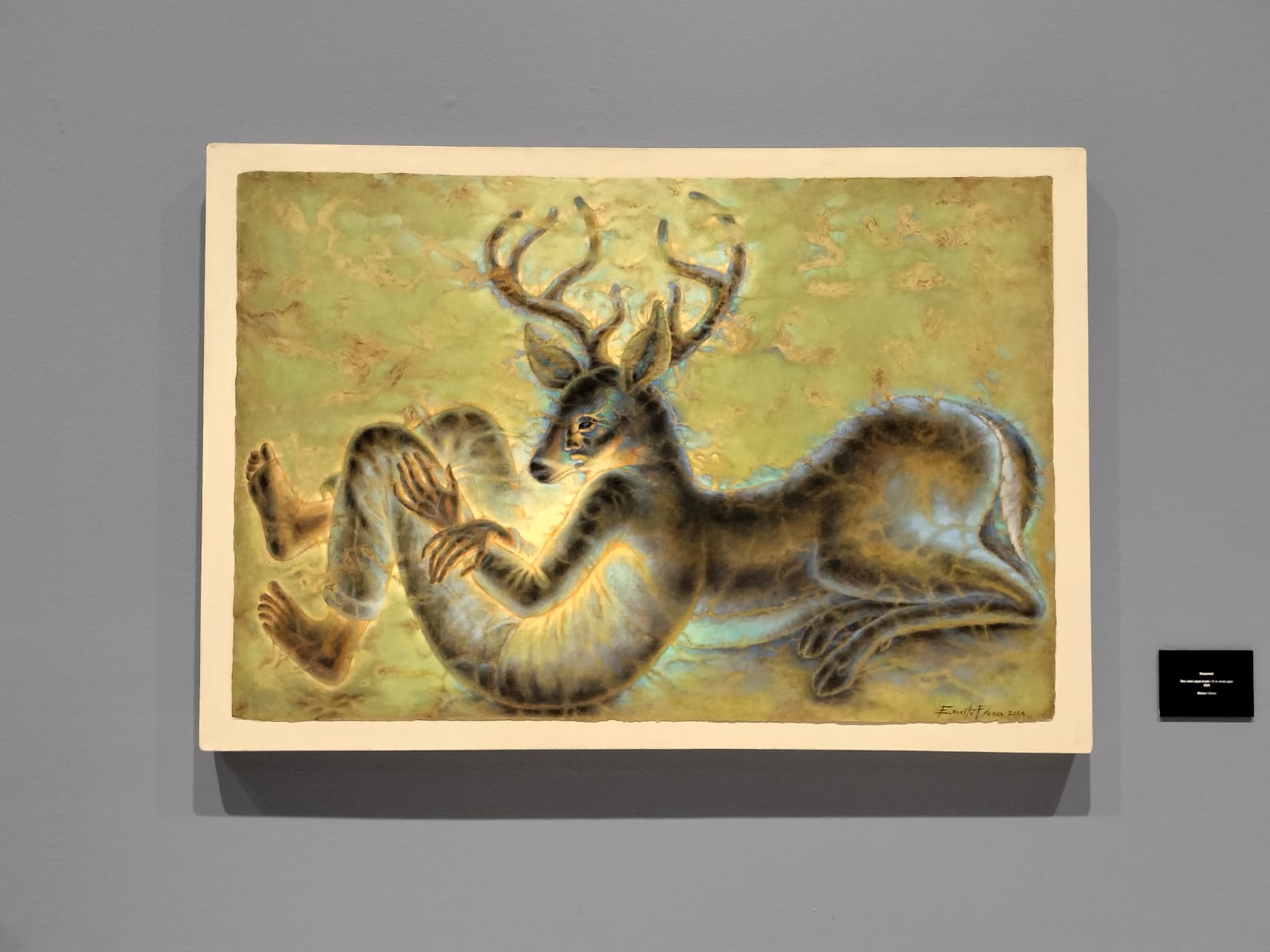 El arte de “Ida y vuelta” del tapatío Ernesto Flores se expone en el MUSA El arte de “Ida y vuelta” del tapatío Ernesto Flores se expone en el MUSA