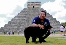 Perros rescatados custodian el legado maya de Chichén Itzá