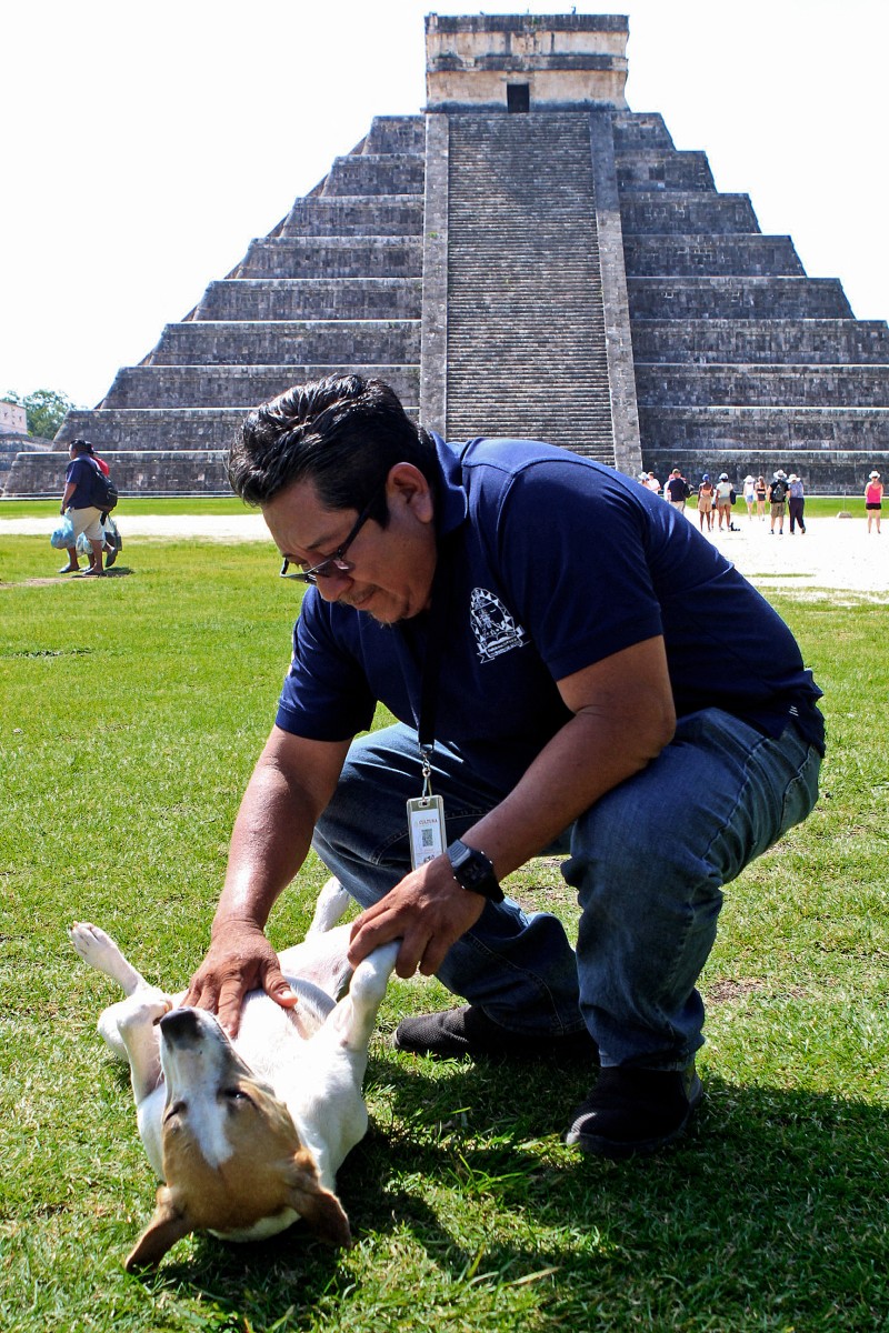 Perros rescatados custodian el legado maya de Chichén Itzá
