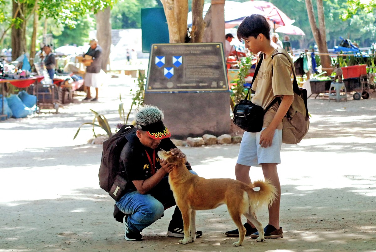 Perros rescatados custodian el legado maya de Chichén Itzá