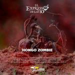 Hongo zombie - El Expresso de las 10 - Lu. 14 Julio 2025
