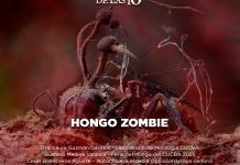 Hongo zombie - El Expresso de las 10 - Lu. 14 Julio 2025