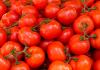 México busca limitar efectos de arancel de EEUU al tomate