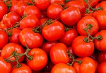 México busca limitar efectos de arancel de EEUU al tomate