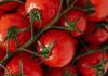 México seguirá exportando tomate a EE.UU. pese a arancel porque no hay sustituto