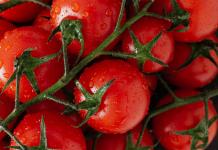México seguirá exportando tomate a EE.UU. pese a arancel porque no hay sustituto