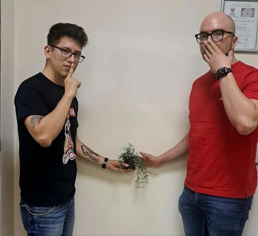 Punto Cinco - Ma. 15 Jul 2025 - #MartesTecnoGamer Punto Cinco - Ma. 15 Jul 2025 - #MartesTecnoGamer
