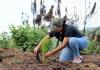 Plantan 500 pinos en zona afectada por incendio en Zapotlán el Grande