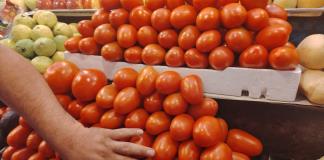 Prevén que aranceles al jitomate mexicano detonen el precio de ese alimento... en Estados Unidos