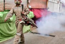 Fumigan tianguis de Zapotlán para prevenir el dengue; llaman a eliminar criaderos