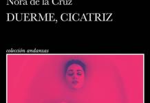 “Duerme, cicatriz”: la novela femenina que también interpela a los hombres