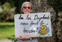 Petición en Francia contra el regreso de un criticado pesticida suma 1,2 millones de firmas