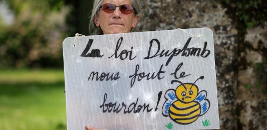 Petición en Francia contra el regreso de un criticado pesticida suma 1,2 millones de firmas