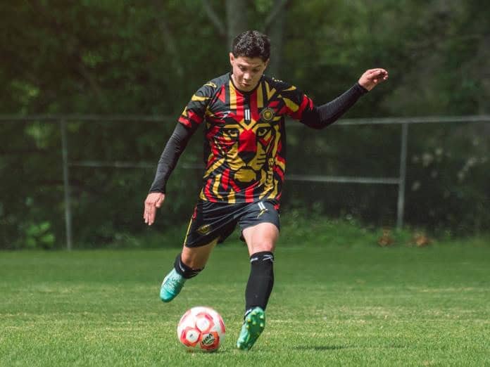 Leones Negros analiza medidas legales para exigir pagos pendientes de la Femexfut