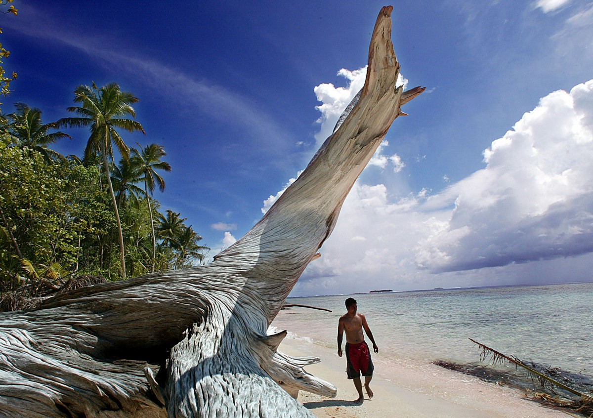 Más del 80% de la población de Tuvalu quiere visado climático para reubicarse en Australia Más del 80% de la población de Tuvalu quiere visado climático para reubicarse en Australia