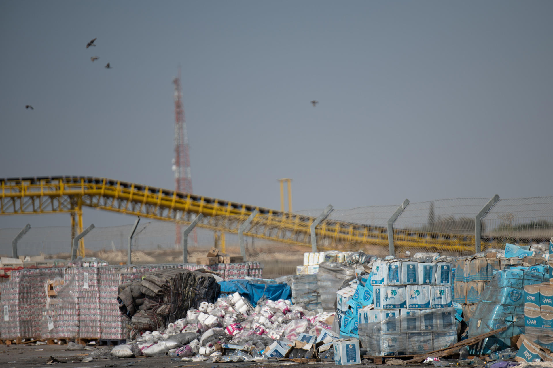 La ayuda alimentaria se descompone bajo el sol mientras la hambruna persiste en Gaza