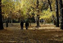 Dar 7.000 pasos diarios puede reducir los riesgos de enfermedades crónicas, según estudio