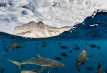 Los malos ya no se pueden escapar: los satélites delatan los buques de pesca ilegal