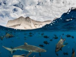 Los malos ya no se pueden escapar: los satélites delatan los buques de pesca ilegal