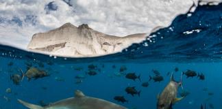 Los malos ya no se pueden escapar: los satélites delatan los buques de pesca ilegal