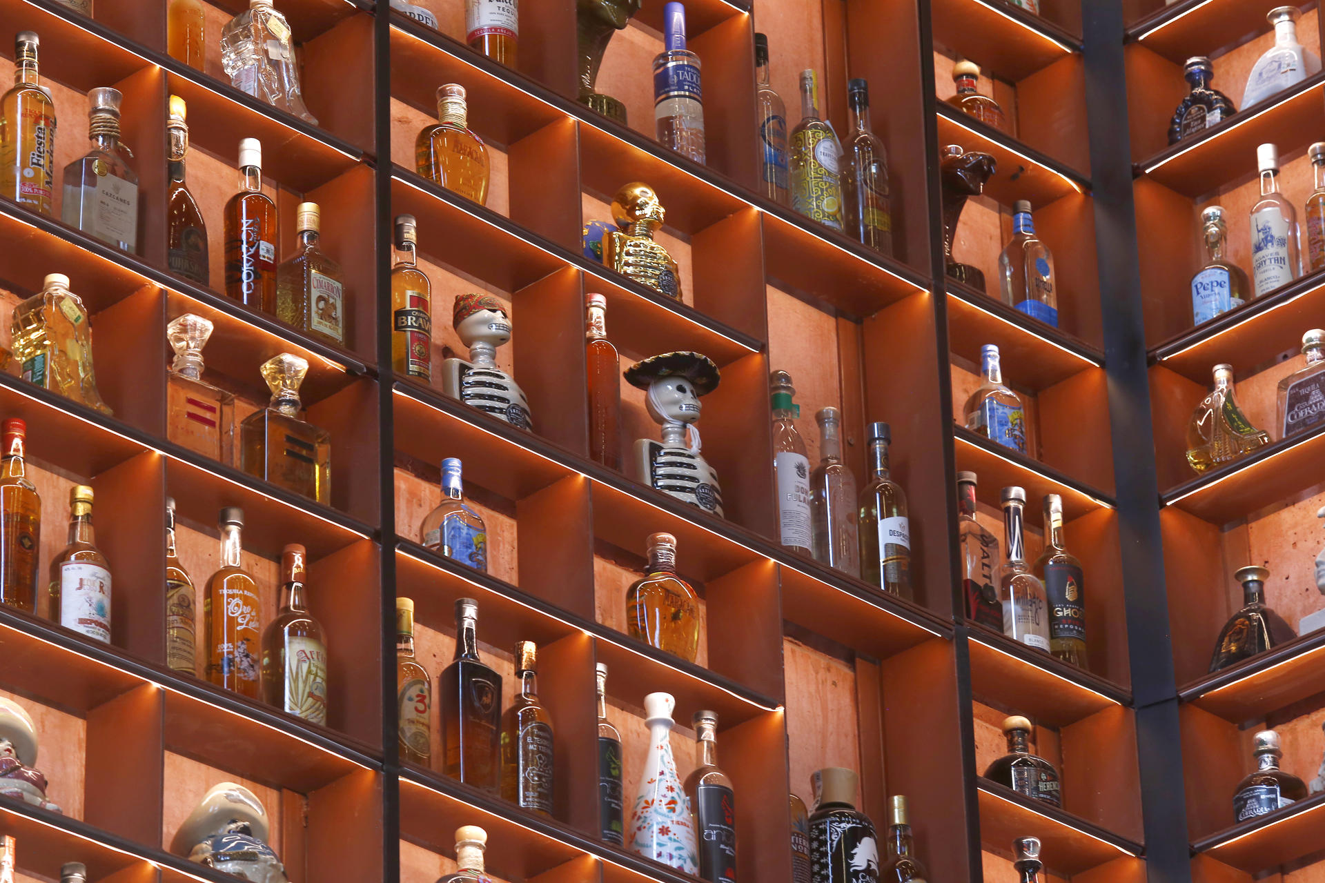 Imponen en Jalisco un Récord Guinness al reunir 3.199 botellas de tequila Imponen en Jalisco un Récord Guinness al reunir 3.199 botellas de tequila
