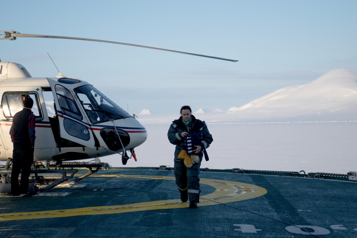 Dardos, biopsias y helicópteros: tras las huellas del oso polar en el Ártico Dardos, biopsias y helicópteros: tras las huellas del oso polar en el Ártico