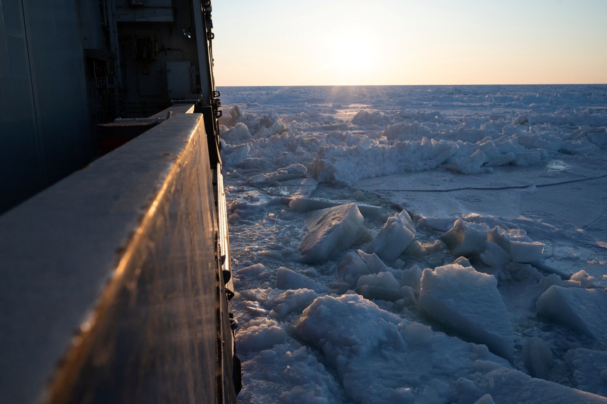 Dardos, biopsias y helicópteros: tras las huellas del oso polar en el Ártico Dardos, biopsias y helicópteros: tras las huellas del oso polar en el Ártico